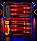 1000V Insulated Screwdriver Set